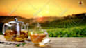 create stunning promotional video ads and video editing