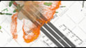 customize the after effects template you need