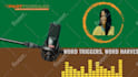 do waveform or audiogram for podcast