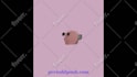 do 3d product animation