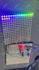 do arduino, raspberry pi and esp programming and projects