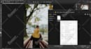 convert your lightroom presets other file format luts,more