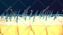 do high quality 3d medical animation and illustration