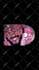 animate your spotify canvas, album cover, motion graphics
