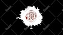 create gorgeous logo animation or youtube intro