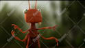 do a funny ants promo