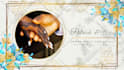 create themed wedding invitation video and e card