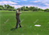repair, color correct and restore you video