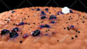 make high quality 3d medical animation