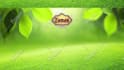 create a restaurant menu display and advertising videos
