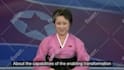 create closed captions or subtitles for your videos