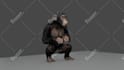 create professional 3d models and animations for videos or games