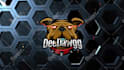create custom logo intro for kick, twitch, youtube, esport, cute