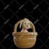 create 3d mascot and character