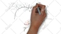 make an explainer 2d animation video
