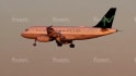 add your logo onto a plane video