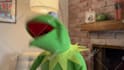 have kermit the frog record a video message or audio message