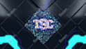 create custom logo stinger transition for your stream