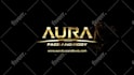 do custom luxury logo animation intro