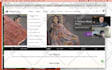 consult you on your branding and brand strategy
