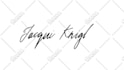create a stunning signature logo animation