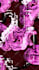 design abstract visuals synced to your music