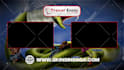 a professional youtube outro and end screen animation