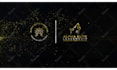 do unique custom logo animation or youtube intro