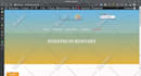 build or redesign your wordpress website