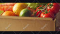 create promotional marketing video or brand commercial video