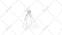 animate a continuous line art