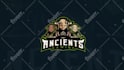 do custom animated twitch and esports overlays, logo, panels, alerts