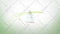create a elegant nature logo animation with full HD