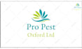 create pest control service commercial promo video