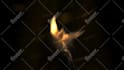 create 3 amazing phoenix fire logo animation intro