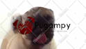 make a pug lick your logo or text only