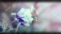 make beautiful animated lyric video for your song