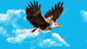 be your social media motion graphics artist