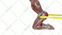 provide stock fitness animations in a close up style