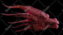 do detailed 3d modelling, 3d sculpting, 3d texturing