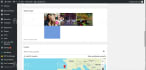 do wordpress plugin, theme customization and fix site