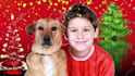 make talking dog and talking cat video message