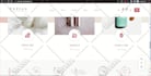 develop a responsive ecommerce wordpress website