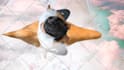 do rotoscoping professionally with vfx