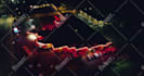 do professional vfx visual effects compositing
