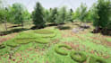 do cinematic eco friendly nature 3d rendering animation intro video from logo