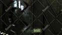create custom 3d grunge cinematic logo intro