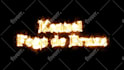 draw your logo with burning fire