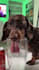 make 100 viral facebook reels and trending youtube shorts