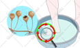 draw image based animate vector illustrations for facebook ads